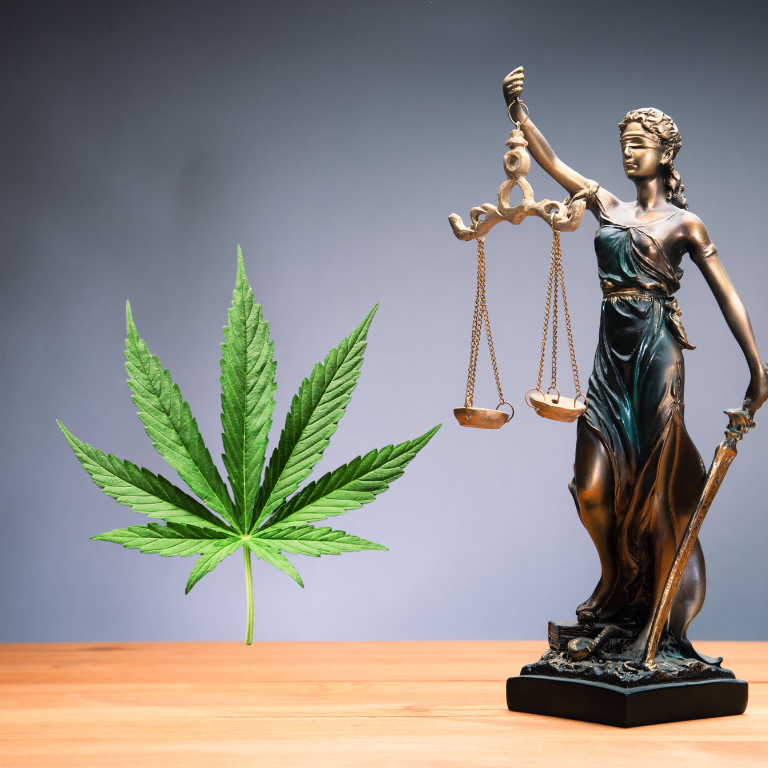 Justice Dept. Defends Federal Cannabis Ban in Major Court Case