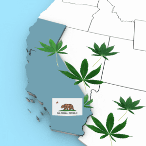 California Saves 500 Mendocino Cannabis Growers From Market Exit