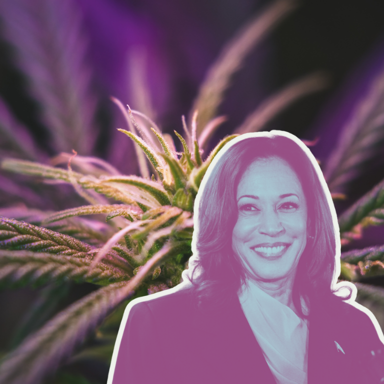 Wanda James Urges Kamala Harris to Address Cannabis Monopolies