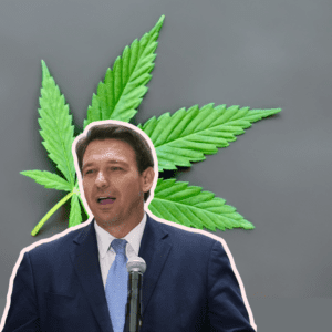 DeSantis Criticized for Redirecting Opioid Funds to Anti-Cannabis Efforts