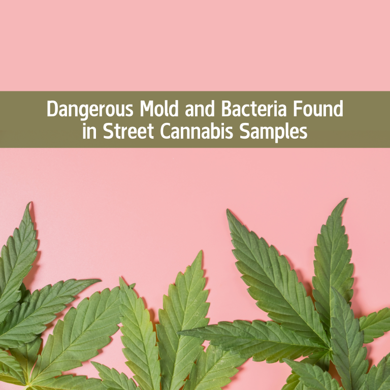 Street Cannabis Tests Positive for Mold, Lead, and E. coli