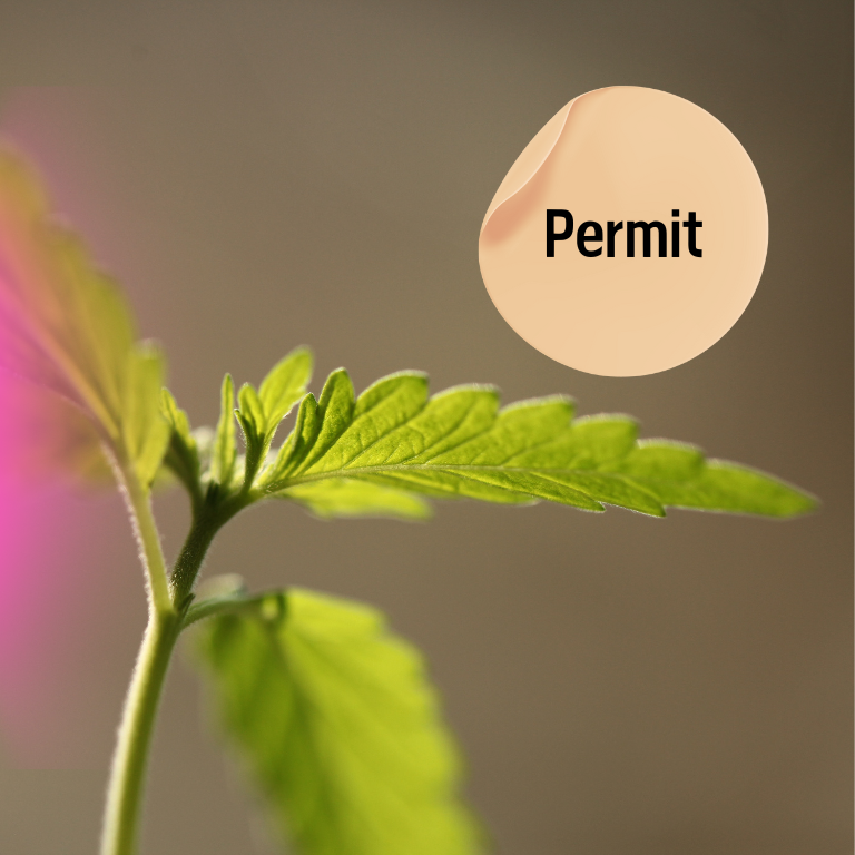 Florida May Add Cannabis Permits If Adult-Use Passes in 2024