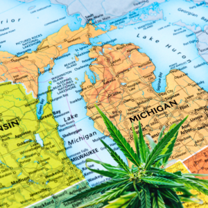 Michigan's Cannabis Sales Surge Thanks to Low Flower Prices