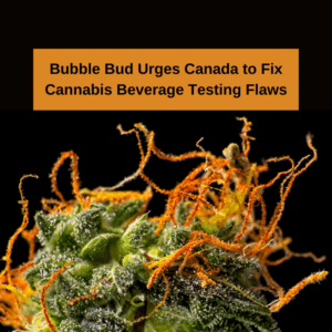 Bubble Bud Urges Canada to Fix Cannabis Beverage Testing Flaws