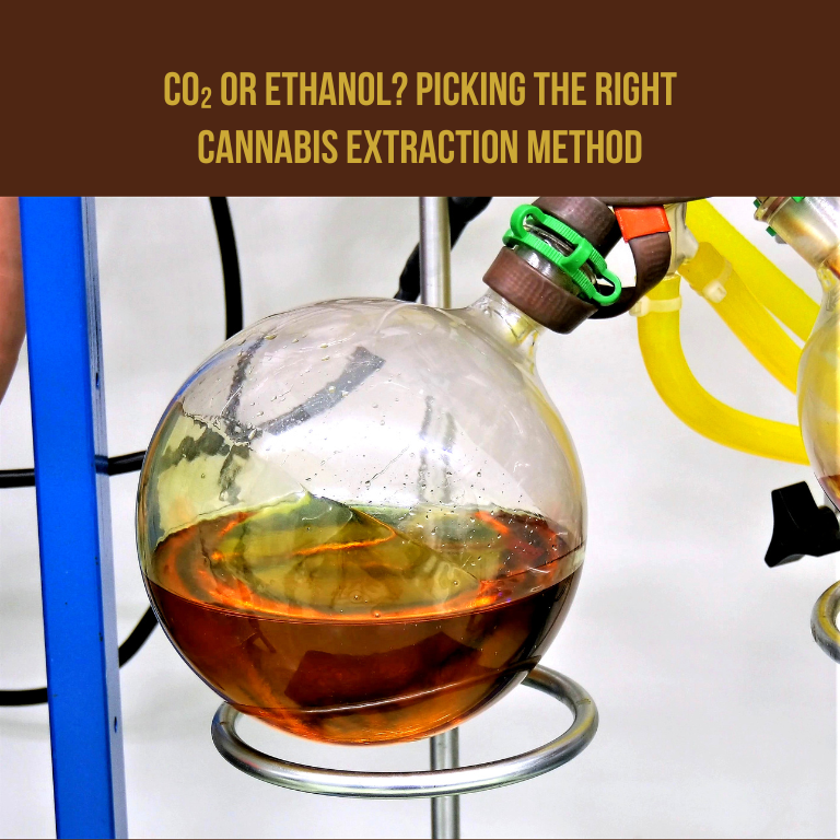 CO₂ or Ethanol? Picking the Right Cannabis Extraction Method