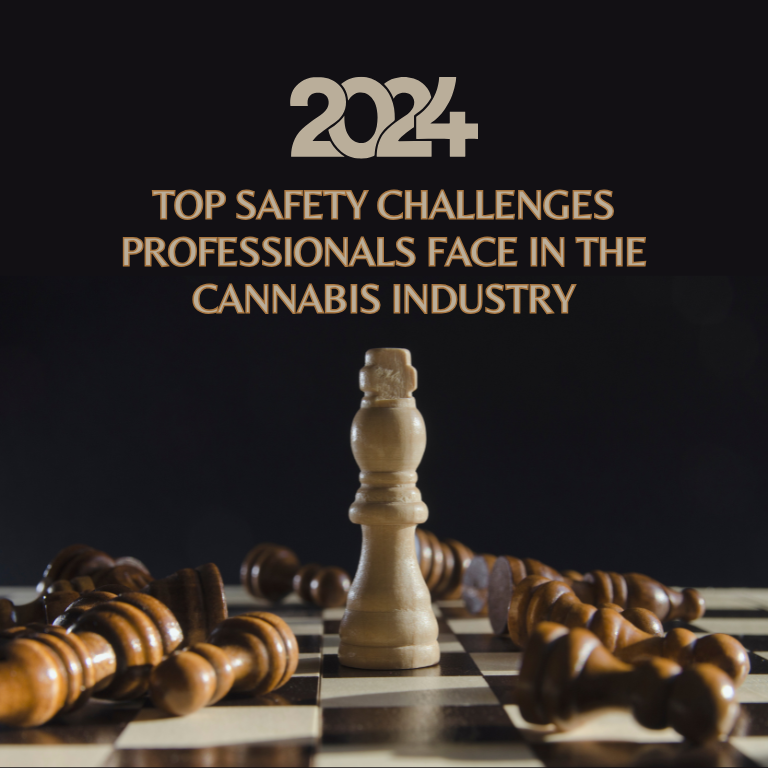 Top Safety Challenges Professionals Face in 2024