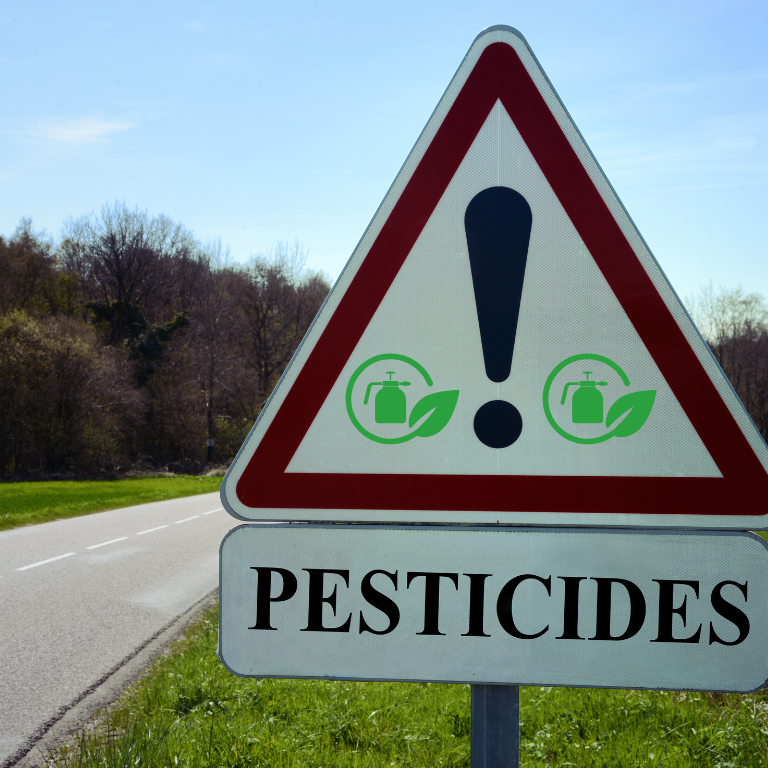 Insight of Pesticide Effects and Eco-Friendly Bioremediation