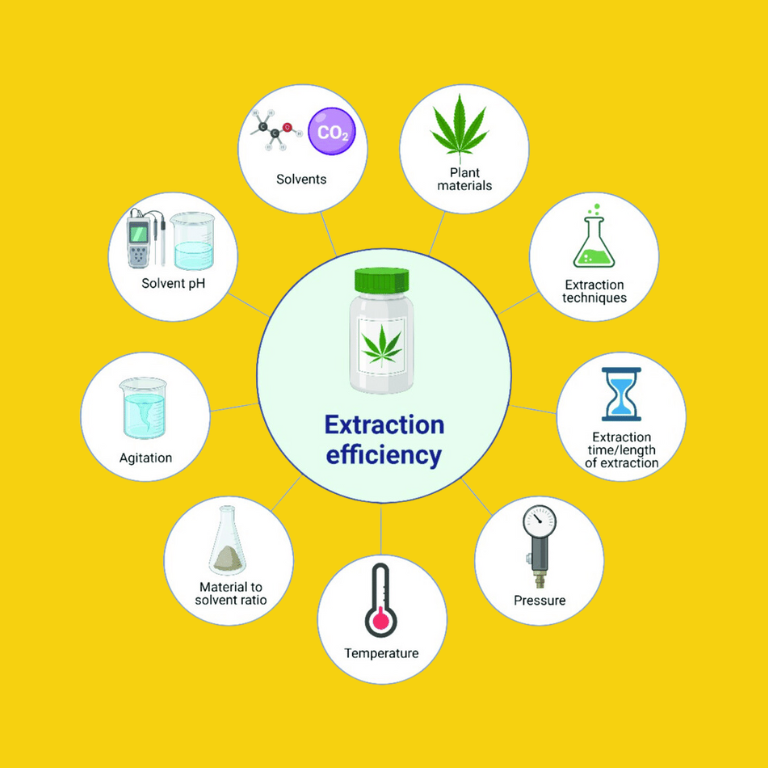 Efficient Cannabinoid Extraction Using Botanical Techniques