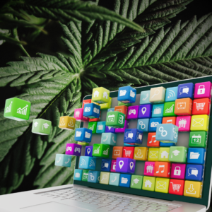 Innovative Software Eases Operations for Cannabis Lounges