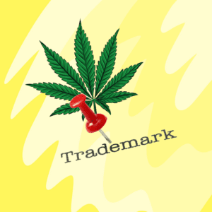 Why Cannabis Trademarks Matter Beyond Bag Appeal