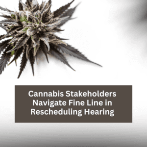 Cannabis Stakeholders Navigate Fine Line in Rescheduling Hearing