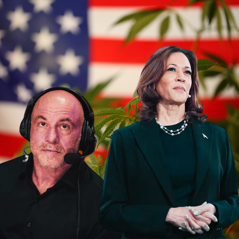 Joe Rogan Claims Harris Dodged Cannabis Legalization Topic