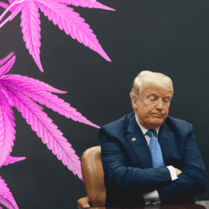 Trump's AG Pick Signals Hope for Cannabis Policy Reform