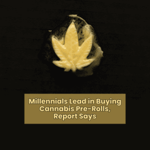 Millennials Lead in Buying Cannabis Pre-Rolls, Report Says