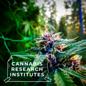 New Cannabis Research Institute Launched by Gov. Pritzker