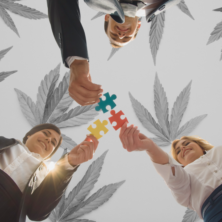 Distru Secures $6M to Boost Cannabis Software Solutions