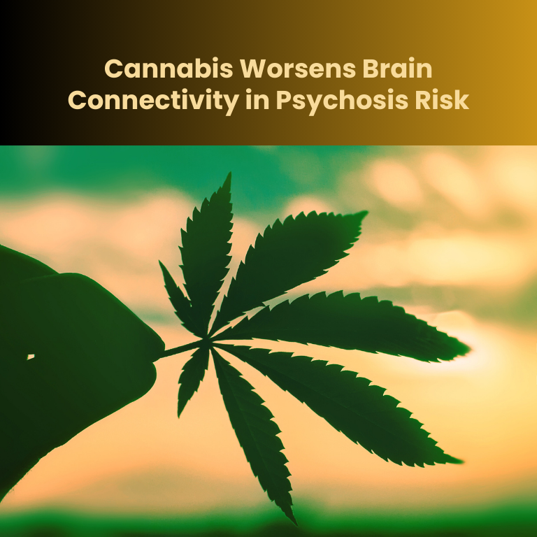 Cannabis Worsens Brain Connectivity in Psychosis Risk