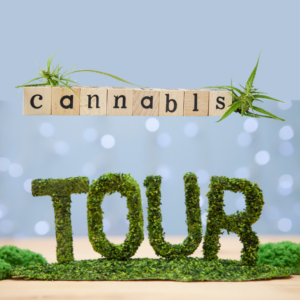 Digital Access to Cannabis Facilities: Virtual Tours Explained