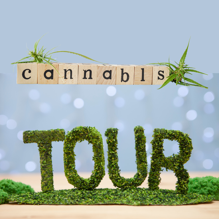 Digital Access to Cannabis Facilities: Virtual Tours Explained