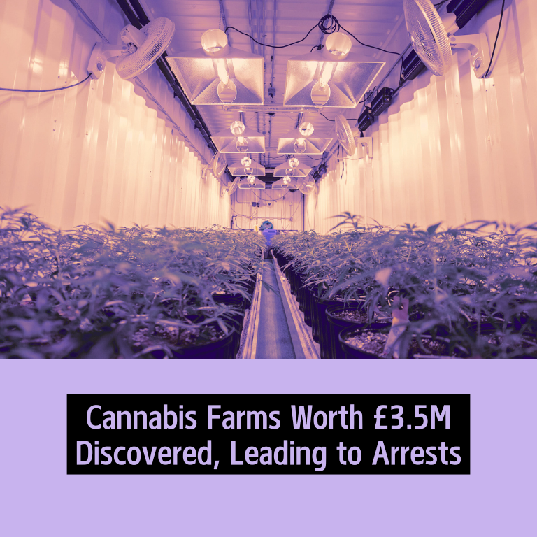 Cannabis Farms Worth £3.5M Discovered, Leading to Arrests