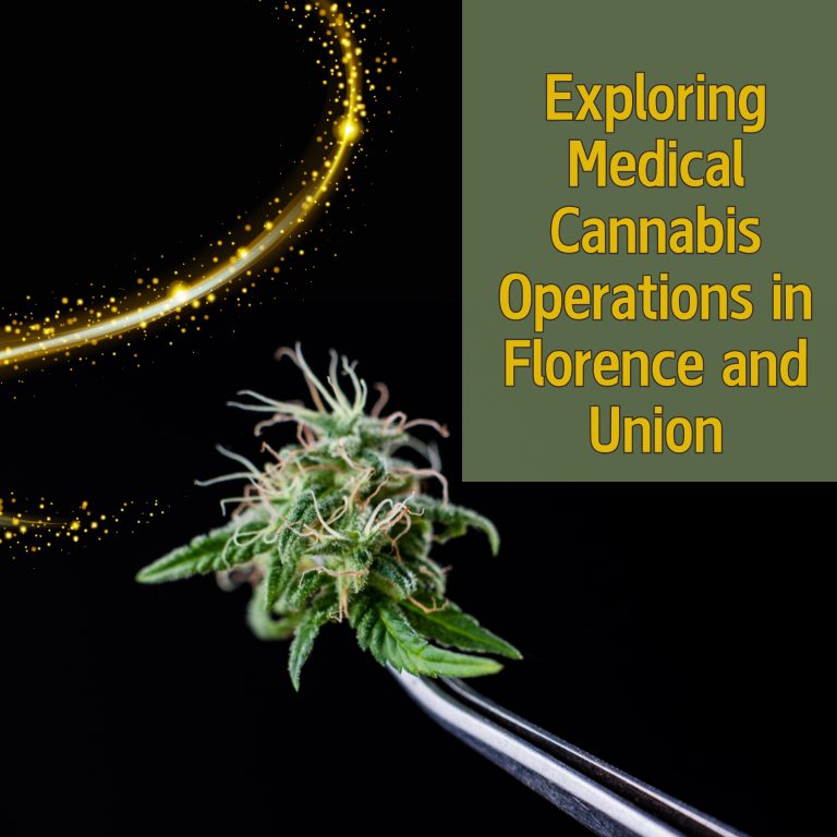 What Medical Cannabis Operations Could Bring to Florence, Union