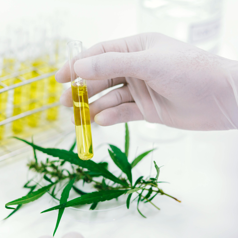 Cannabis Lab Operator Urges for Stricter Testing Regulations