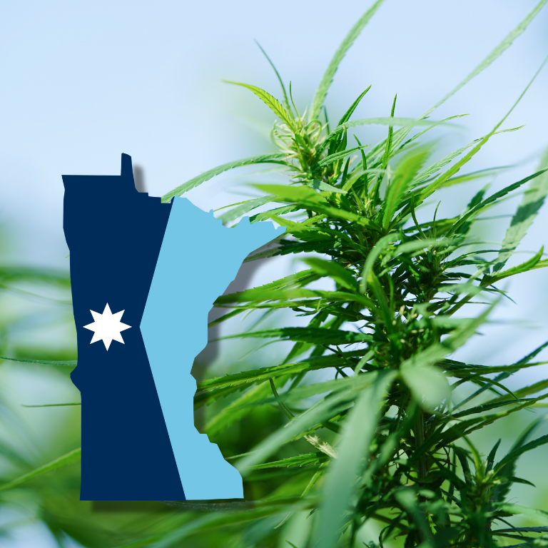 Minnesota Adult-Use Cannabis Launch Delayed by Licensing Lawsuits