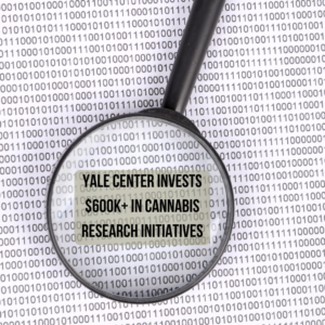 Yale Center Invests $600K+ in Cannabis Research Initiatives