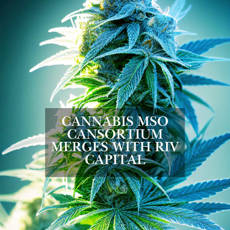 Cannabis MSO Cansortium Merges with RIV Capital