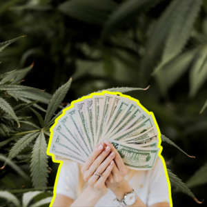 Cannabis MSO Standard Wellness Secures $10 Million Loan