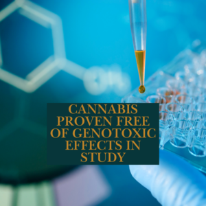 Cannabis Proven Free of Genotoxic Effects in Study