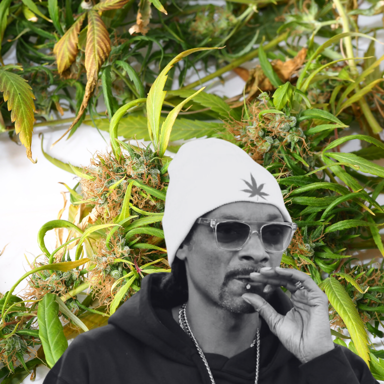 Snoop Dogg's New Cannabis Marketplace Goes Direct-to-Consumer