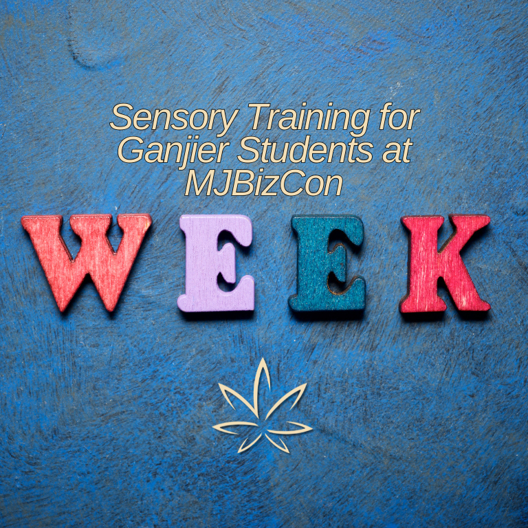 Sensory Training for Ganjier Students at MJBizCon Week