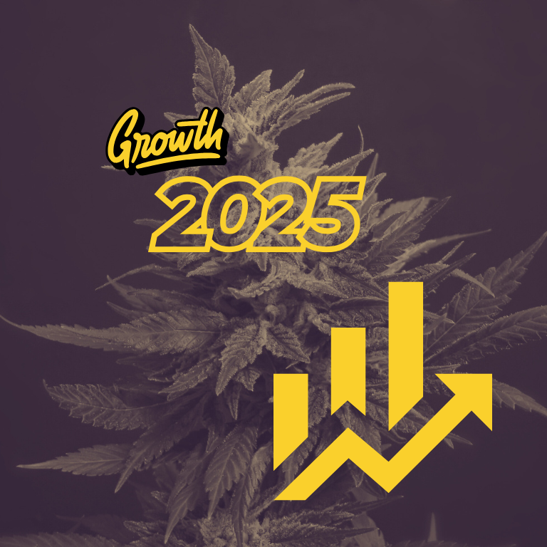 Cannabis Experts Highlight M&A and Expansion for 2025 Growth