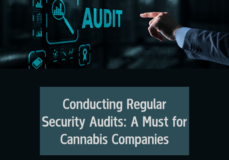 Conducting Regular Security Audits: A Must for Cannabis Companies