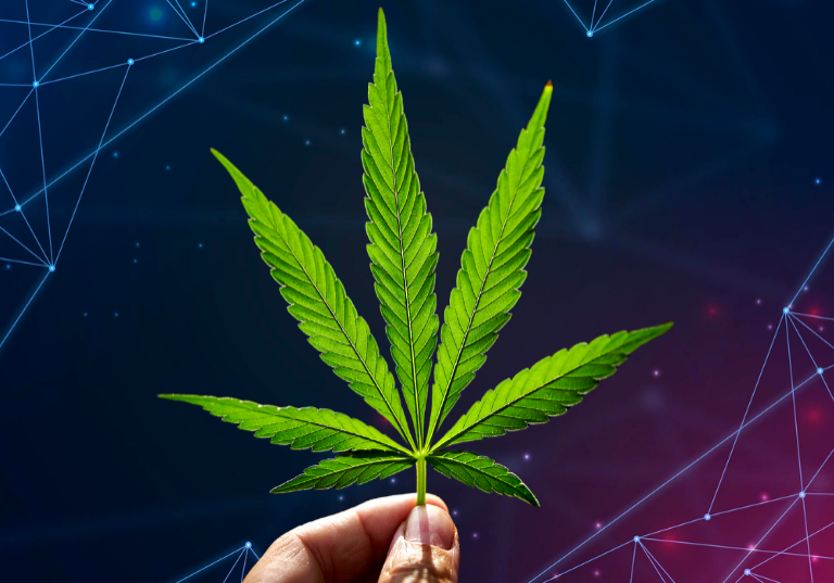 Secure Your Cannabis Operation with Cutting-Edge Scanner Tech