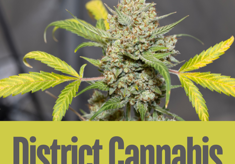 Exploring Excellence: CannaCribs Presents District Cannabis