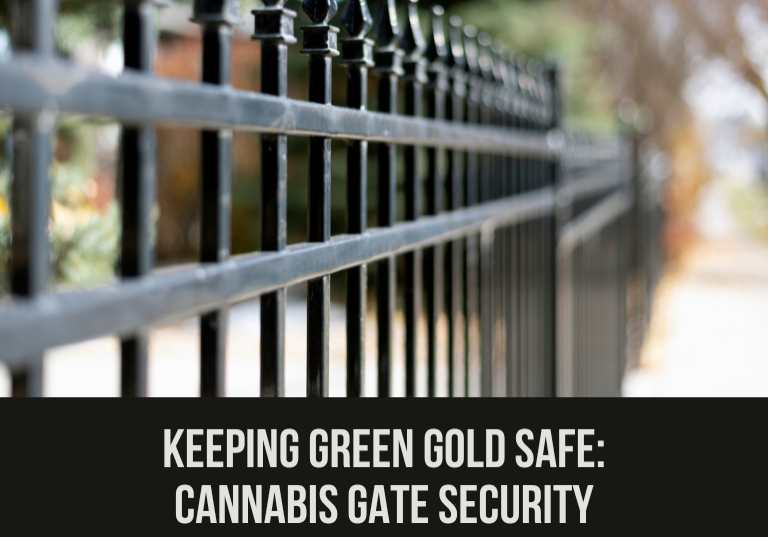 Keeping Green Gold Safe: Cannabis Gate Security Solutions