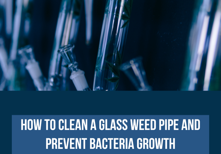 Cleaning a Glass Weed Pipe: Remove Buildup & Stop Bacteria