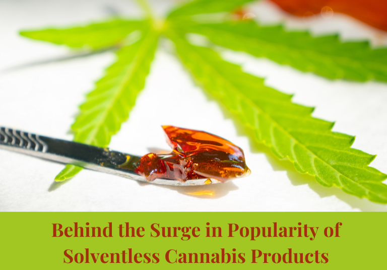 Behind the Surge in Popularity of Solventless Cannabis Products