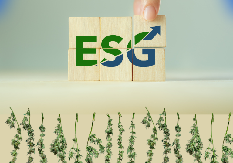 How Much Do Employees Care About ESG Policies?