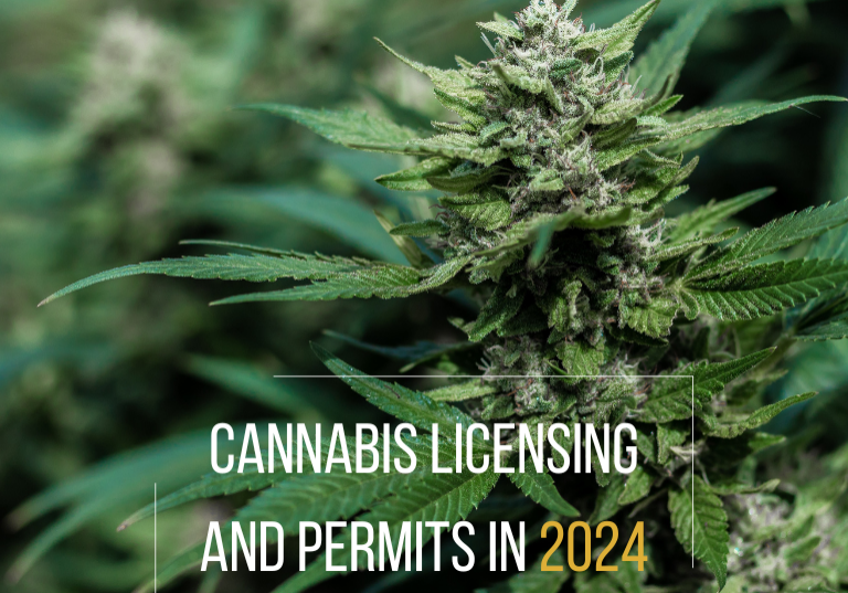 A Guide to Cannabis Licensing and Permits in 2024