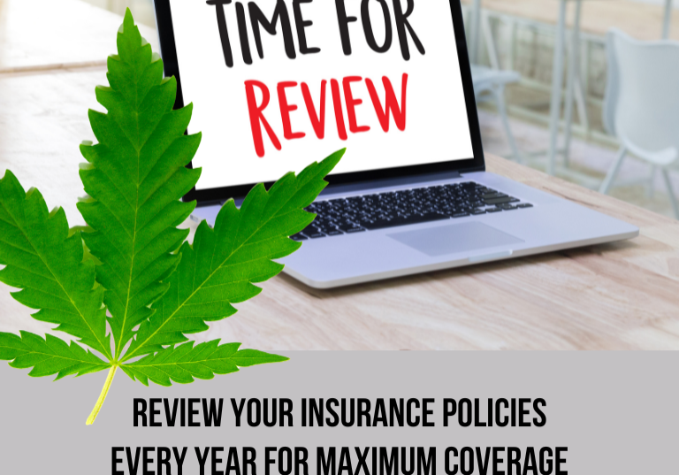 Review Your Insurance Policies Every Year for Maximum Coverage