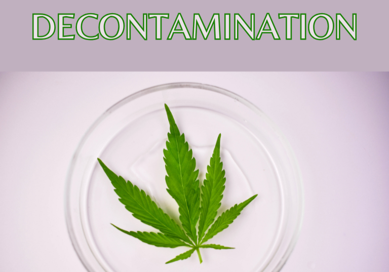 Decontamination: Protecting Quality in the Cannabis Market