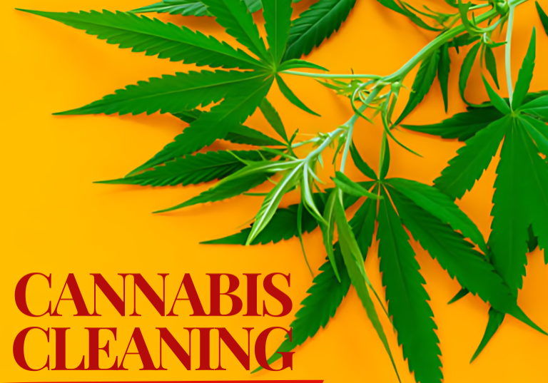 Cannabis Cleaning Made Simple: Expert Tips and Tricks