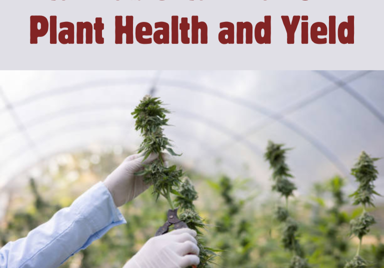 Enhancing Cannabis Cultivation with Microbials: Health & Yield