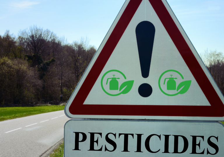 Insight of Pesticide Effects and Eco-Friendly Bioremediation