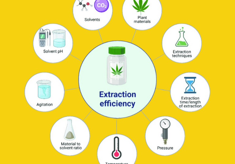 Efficient Cannabinoid Extraction Using Botanical Techniques