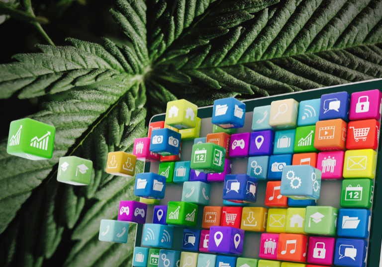 Innovative Software Eases Operations for Cannabis Lounges