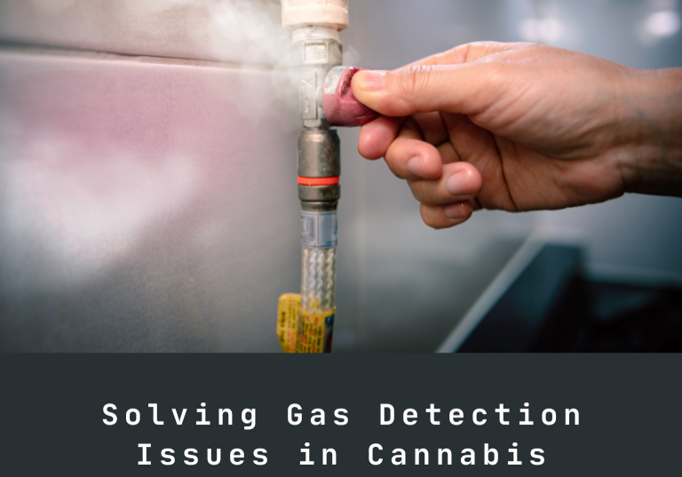 Solving Gas Detection Issues in Cannabis Production: 7 Key Tips